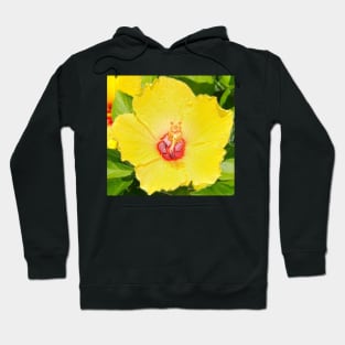 Happy Hibiscus Hoodie